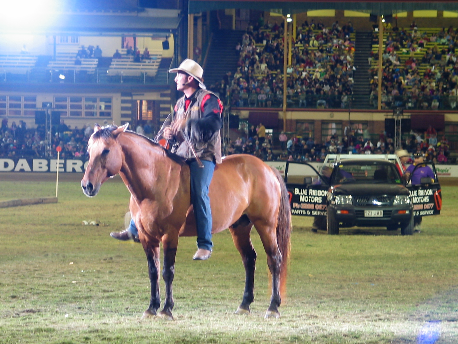 Guy McLean and his horses achieve national acclaim - Image